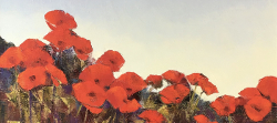 Wild Poppy Field | 2020 | Oil on Canvas | 52 x 50 cm